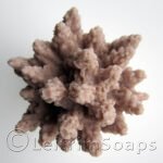 Lavender Soap